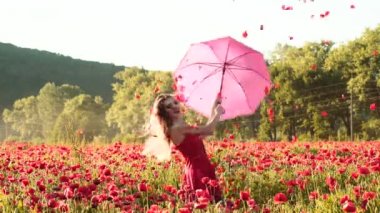Mutlu genç kadın haşhaş yapraklarıyla oynuyor. Rahatlatıcı ve provence. Çiçek açan alanda gülümseyen sevimli romantik bir kadın..