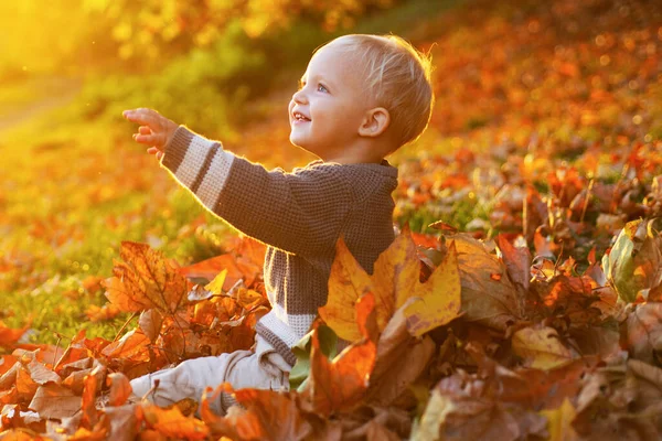 Warm moments of autumn. Toddler boy blue eyes enjoy autumn. Small baby toddler on sunny autumn day. Warmth and coziness. Happy childhood. Sweet childhood memories. Child autumn leaves background