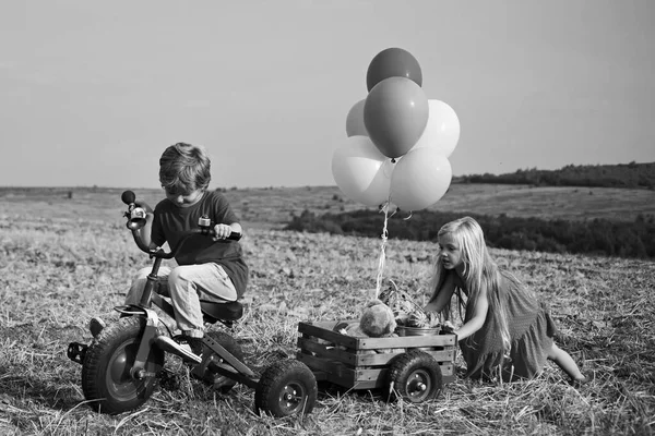 Deux enfants s'amusent dans le champ sur fond de ciel bleu. Activités d'éco station. Concept d'enfant agriculteur. Deux petits enfants à la ferme rurale. — Photo