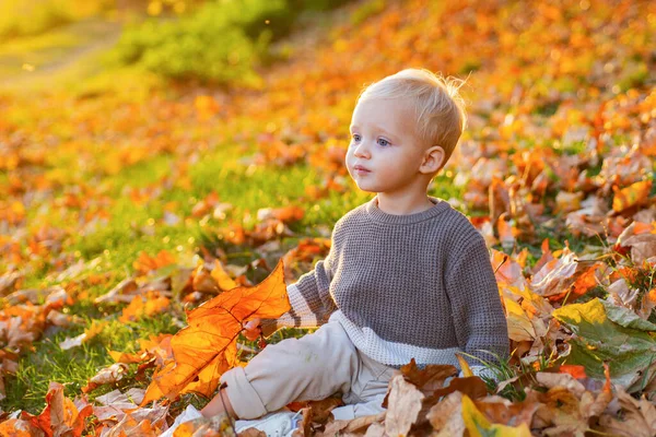 Gyerekdivat. Gyerekkori emlékek. A gyerek ősz hátteret hagy. Az ősz meleg pillanatai. A kisgyerek kék szemei élvezik az őszt. Kis elegáns csecsemő napsütéses őszi napon. Boldog gyermekkort! — Stock Fotó