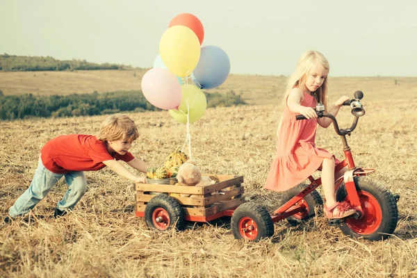 Verão no campo. Conceito de infância. Eco fazenda. Natureza e estilo de vida das crianças. Um miúdo feliz no campo de verão. doce infância. Crianças felizes agricultores que trabalham com pudim no campo de primavera. — Fotografia de Stock