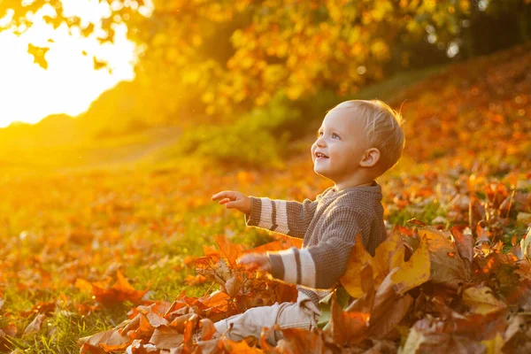 童年的回忆儿童秋叶背景.秋天温暖的时刻。小男孩的蓝眼睛喜欢秋天。在阳光明媚的秋日,一个时髦的小宝宝蹒跚学步.快乐的童年童装时尚 — 图库照片