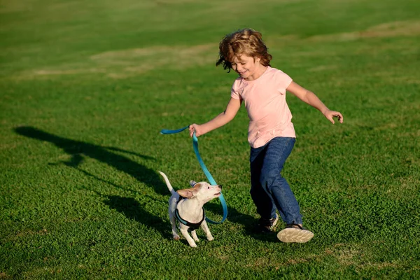 Ragazzo divertente con cucciolo di cane. Un ragazzino al parco gioca con un cane. Amicizia, cura animale domestico. — Foto Stock