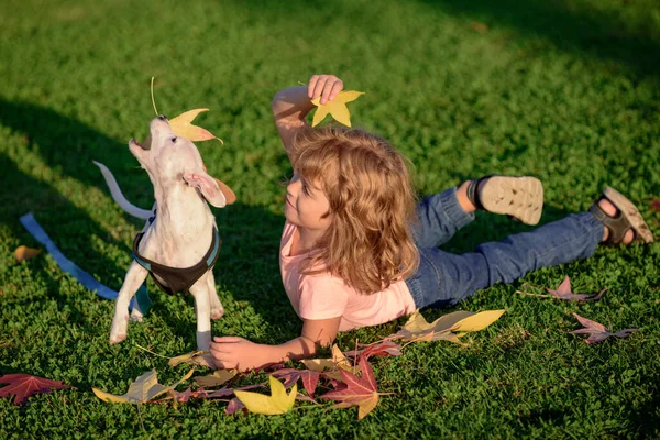 Chico divertido jugando con el perro en otoño hojas de otoño. Chico paseo con cachorro. —  Fotos de Stock