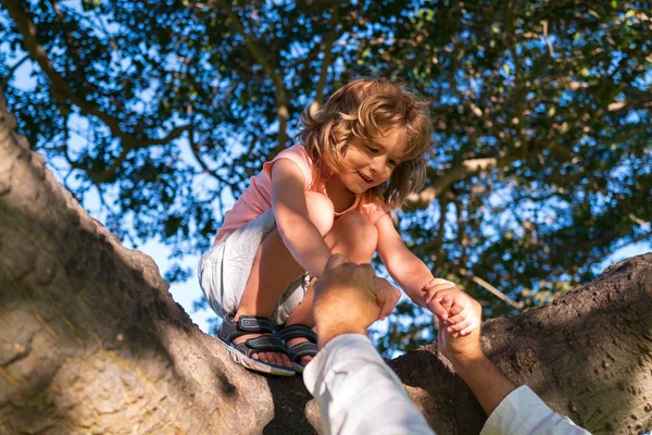 Ασφαλιστικά παιδιά. Παιδιά σκαρφαλώνουν σε δέντρα. Προστασία παιδιών. Ο γονιός κρατάει το χέρι ενός παιδιού.. — Φωτογραφία Αρχείου