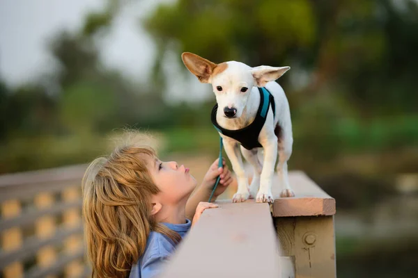 Schattig kind jongen voelt tederheid en vergeving. Concept van zorgzame huisdieren. Draagt kleine hond, tedere emoties, zorg en liefde naar kleine puppy. — Stockfoto