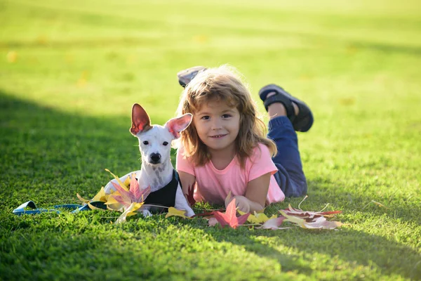 Rolig grabb med hundvalp. Tonåringen i parken leker med en hund. Blond glad pojke med sin chihuahua hund liggande på gräsmattan. — Stockfoto