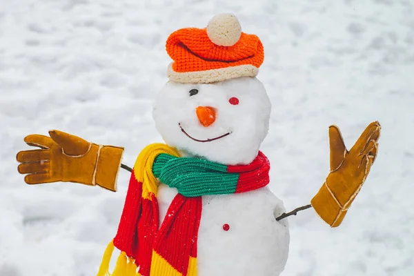 Sneeuwman en sneeuwdag. Sneeuwman met sjaal en hoed. Gegroet sneeuwpop. Vrolijk kerstfeest en fijne feestdagen. Sneeuwman in het sneeuwwoud — Stockfoto