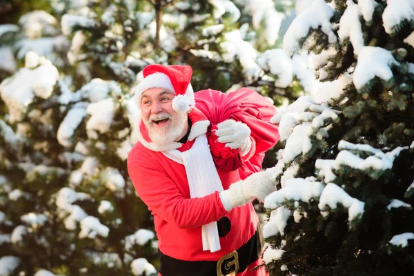雪景色の冬の森に来るクリスマスプレゼントの袋と幸せな興奮サンタクロース. — ストック写真