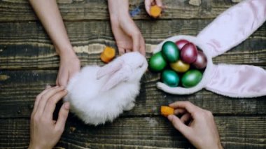 Paskalya tavşanı. Yumurta boyama konsepti. Anne, baba ve oğuldan oluşan aile manzarası..