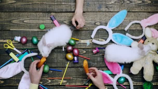 Pasqua. Le mani giocano con il coniglio bianco, dipingendo uova di Pasqua. Vista dall'alto. — Video Stock