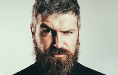Ciddi stil sahibi sakallı adam. Yakışıklı genç adam izole edilmiş. Seksi sakallı, şık saçlı bir adamın portresi. Gri arka planda izole edilmiş. Yaşam tarzı insan kavramı. Sakallı adam..