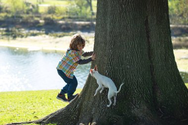 Köpekli çocuk ağaca tırmanıyor. Çocuk köpek yavrusuyla parkta oynuyor ve tırmanıyor. Bebek ve evcil hayvan tırmanmayı öğreniyor. Bahçede eğleniyorlar..