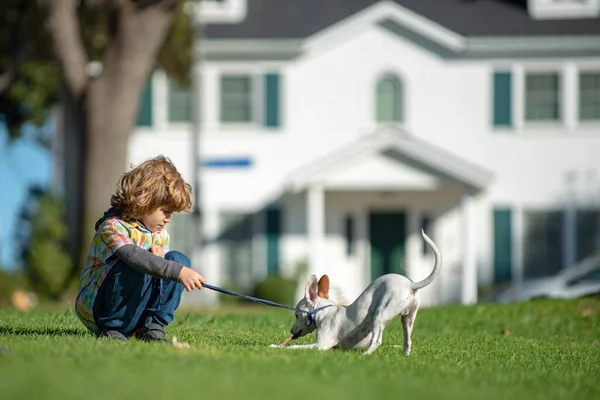 Foto divertida de niño feliz jugando con perro cachorro. —  Fotos de Stock