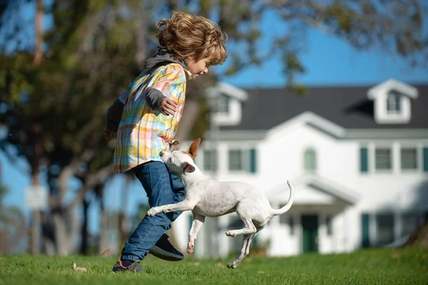 Foto divertida de niño feliz jugando con perro cachorro. —  Fotos de Stock