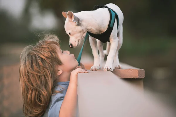 Lindo niño beso cachorro, se siente encantado, placer, lleva pequeño perro bebé, expresa emociones tiernas, cuidado y amor a las mascotas pequeñas. — Foto de Stock