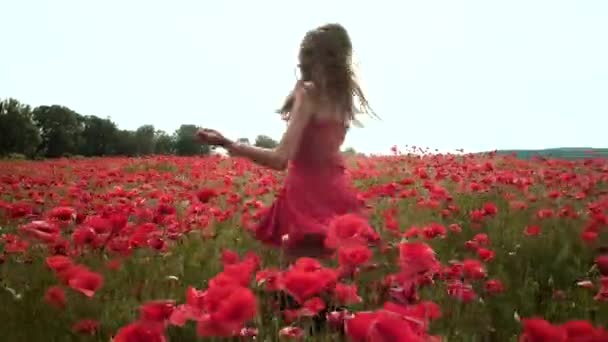 Donna primaverile. Ragazza attraente in fiori papavero feild. Libertà sulla natura. Giovane donna su Spring Meadow. Bella giovane modello romantico muoversi su sfondo papaveri. — Video Stock