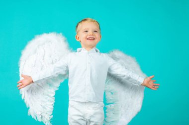 Melek kanatlı melek çocuk aşk tanrısı.