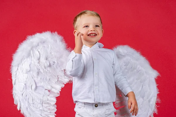 Retrato de um belo menino feliz com asas de anjo. — Fotografia de Stock