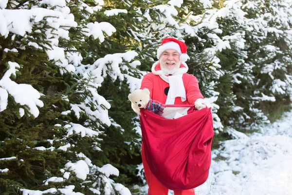 冬の森、雪景色に来るクリスマスの贈り物の袋とサンタクロース. — ストック写真
