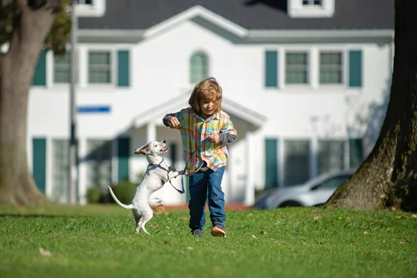 Kids insurance. Child with a pet runs to race. Blonde boy playing with dog on the lawn in the park. The doggy has raised a tail up. Fun game. Family, parenthood, childhood concept.