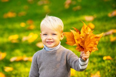 Mutlu çocuk gülerek ve sonbaharda oynayarak doğa yürüyüşüne çıkar. Sonbahar parkındaki çocuklar sarı yapraklı arka planda.