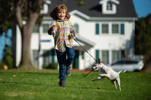 Tasmalı köpek, idarecisinden kaçıyor. Sonbahar güneşli bir günde yeşil arka bahçedeki çimlerin üzerinde küçük bir çocuğun portresi. Küçük köpek yavrusu kovalıyor. — Stok fotoğraf