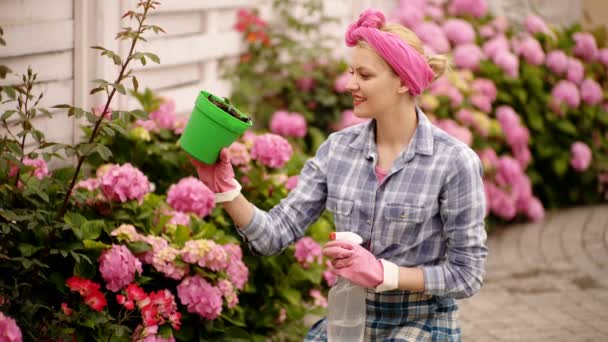 Tuinieren op het platteland. Vrouw zorg bloemen en drenken hortensia. — Stockvideo