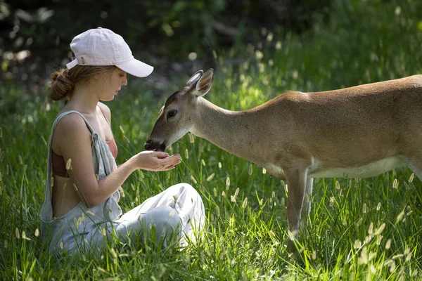 Jonge vrouw voedt herten bambi. Schattig concept voor wilde dieren. — Stockfoto