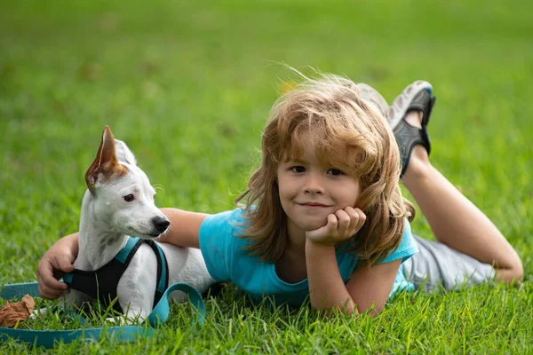 Smiling Little boy sitting on the grass with funny doggy. Happy child playing with dog on lawn. — Stock Photo, Image