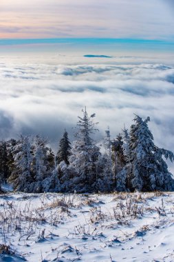 Kar manzarası, Karlı dağlar. Ormanda kış.
