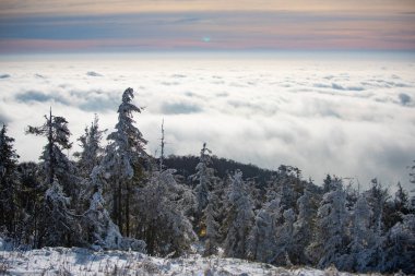 Kar manzarası, Karlı dağlar. Ormanda kış.