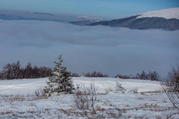 Impresionante escena de Navidad en las montañas. Paisaje de nieve, montañas nevadas. Invierno en el bosque. —  Fotos de Stock
