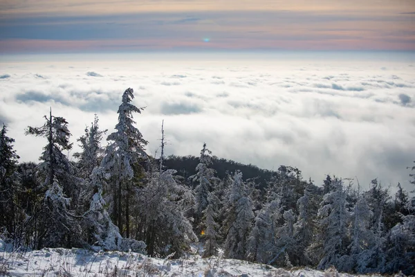 Paisaje de nieve, montañas nevadas. Invierno en el bosque. —  Fotos de Stock