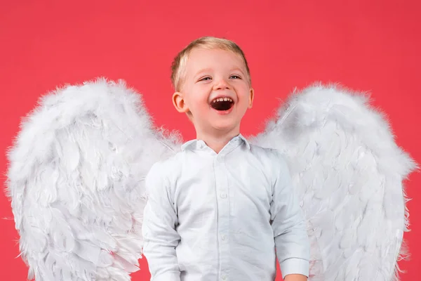 Retrato de close-up de menino bonito criança em uma camisa branca com asas brancas como um Cupido, cartão de Dia de São Valentim, crianças romântico e conceito de amor. — Fotografia de Stock