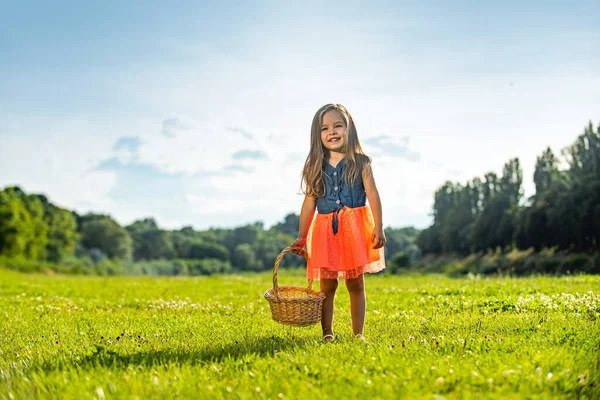 Παιδικές διακοπές στη φύση. Χαριτωμένο κορίτσι σε καλοκαιρινή βόλτα. Ανοιξιάτικο παιδί. Περπατώντας στο γήπεδο. — Φωτογραφία Αρχείου