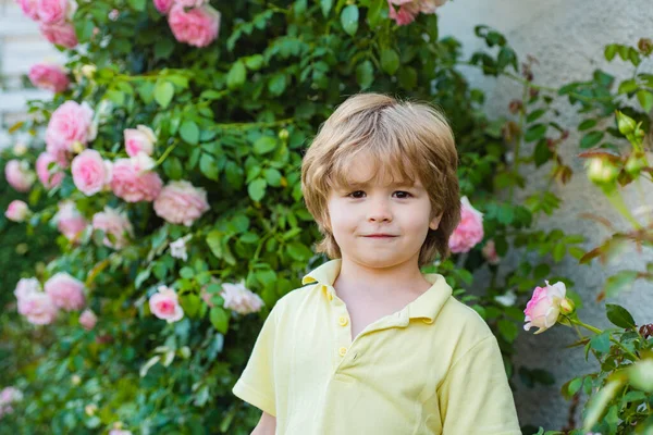 Niño en jardín de rosas al aire libre. Un chico de primavera en el parque. Caminata de verano. Adaptación infantil. —  Fotos de Stock
