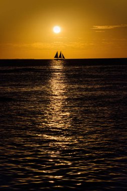 Gün batımında okyanusta tekne gezisi. Yelkenli yelkenliler. Deniz yatı su boyunca yüzüyor..