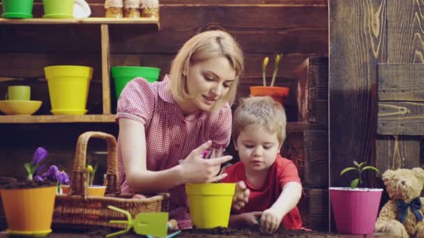 Family gardening and planting. Plants care. Cultivate crops. Motherhood. — Stock Video