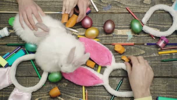 Lapin de Pâques. La famille nourrit les lapins. Préparation pour Pâques. — Video