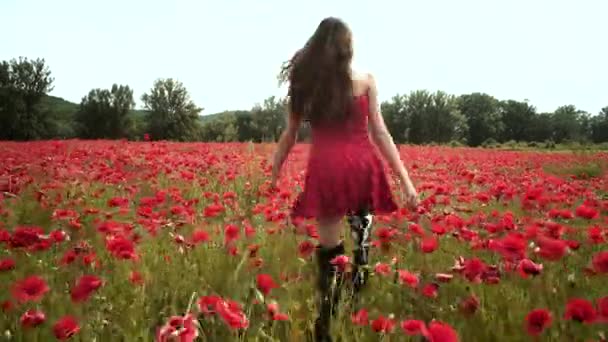 Seguitemi. Ragazza di primavera nel campo di papavero fiore. Donna in fiori. — Video Stock