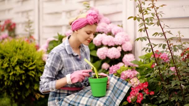 Femme heureuse jardinier plantation hortensia fleur dans le jardin. — Video
