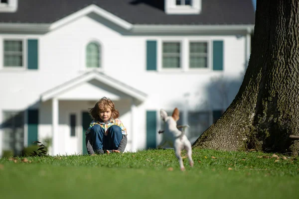 Niño lindo jugando con el perro chihuahua en el césped del patio trasero. —  Fotos de Stock