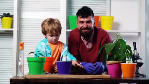 Vader en zoon plantig planten in potten. Papa leert kleine jongen tuinieren. Gezinsplantage. — Stockvideo