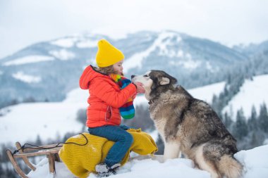 Kar üzerinde Husky köpeği olan kış çocukları. Kış ormanlarında mavi gözlü Sibirya kurdu, Avusturya ya da Kanada.