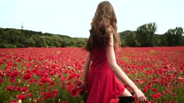 Spring woman. Critical days, menstruation, womens health. Girl in poppy flowers. Follow me. — Stock Video