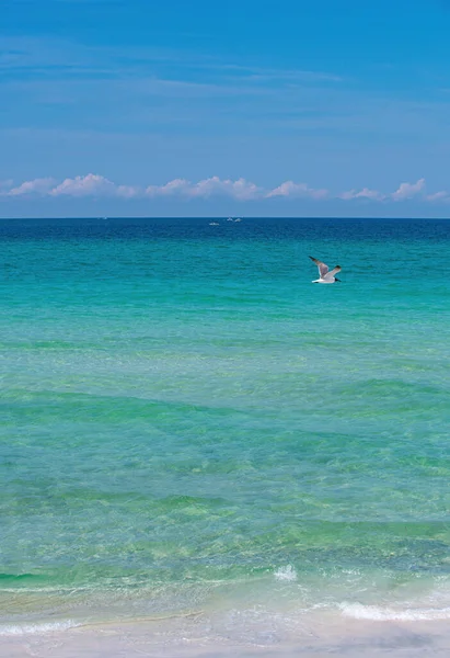 デザインのポストカードのための昼光風景の視点。砂浜の海の波. — ストック写真