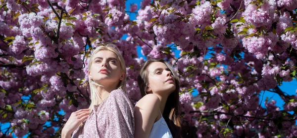 Raparigas da Primavera. Ao ar livre perto retrato de jovem bela menina elegante posando perto de árvore sakura florescendo com flores rosa. — Fotografia de Stock