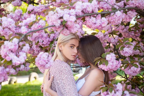 Cara de chicas de primavera. Retrato al aire libre de una hermosa mujer sensual. Atractivas chicas sexy en un campo con flores. —  Fotos de Stock