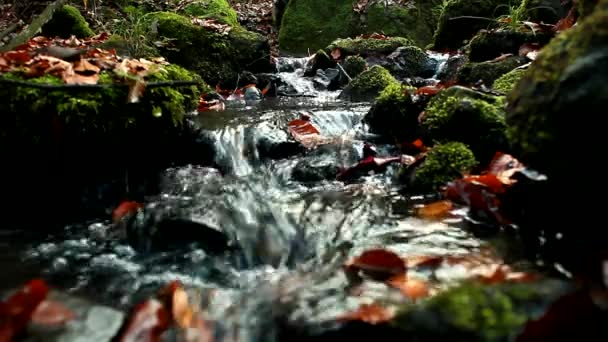 Cascada naturaleza paisaje. Mountain River Relájate. Fondo de cascada. — Vídeos de Stock